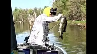 Bass Fishing 202-Lesson 23: One Way to Catch Post Cold Front, Pre-spawn  Bass
