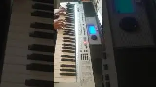 SRIVATSA - PUNAGAIMANNAN BGM