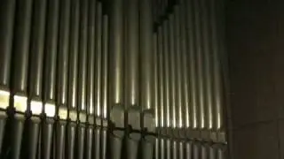 Amazing grace: Sch&auml;ferpfeife und Orgel