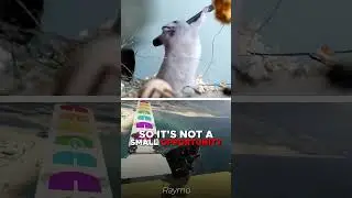 Make money from AI right NOW!