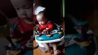 Mamas and Papas Baby Bud / Booster Seat
