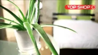 Одеяло Dormeo Aloe Vera легкое