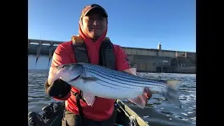 Striper Fishing 2022 Rods Reels and Gear Needed - OOW Outdoors