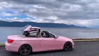 Pearl Metal Sakura Pink Wrapping Vnyl