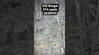 974 yard long range kill shot on nice buck. 230gr. Berger HT shot from a 300 Norma Improved.