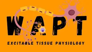 Excitable Tissue Physiology for the WAPT