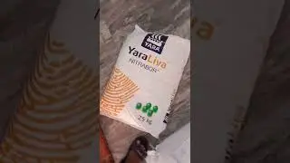 #calcium naitrat #very good fertilizer for sugar cane podha ke liye this time