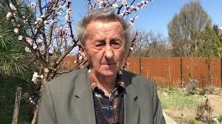 Ivan Hričovsk&yacute;: M&Ocirc;ŽEM E&Scaron;TE V APR&Iacute;LI ROBIŤ JARN&Yacute; POSTREK OVOCN&Yacute;CH STROMOV?