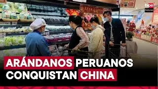 Arándanos peruanos en Beijing: la fruta que conquista a los consumidores chinos