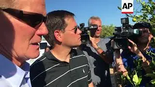 Irma Delivers Serious Punch to Florida Citrus