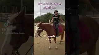 Western VS classique. De quelle team es-tu? #lafamilleacheval #horse #chevalpassion #cheval #chevaux