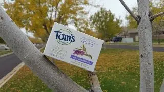 Tom's of Maine relaxing calming Lavender beauty bar review