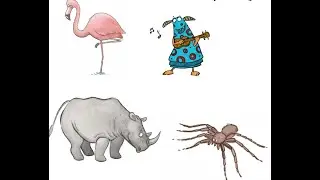 Die Rhythmus-Tiere