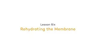 Rehydrating the Membrane | Chemiluminescence: Blocking the Membrane