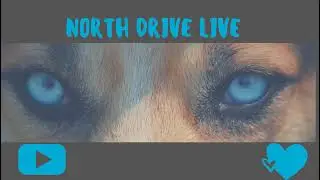 North Drive Live