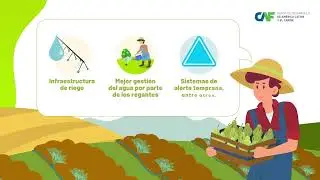 ImpactoCAF | Sector agropecuario   Video animado