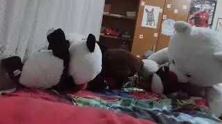 Pamuk  kep&ccedil;e makinesi denio pt2