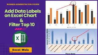 Add Data Labels on Excel Chart & Filter Top 10 | Learn Excel Trick ||