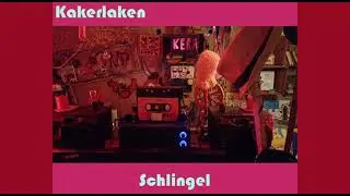 Kakerlaken - Schlingen (FULL ALBUM 2025, RAW MIX)