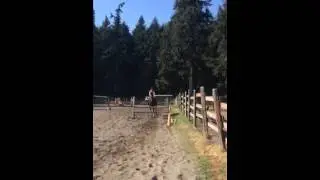 Maddie and Ace - Video #2