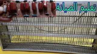طريقة تصليح صاعق الحشرات والناموس