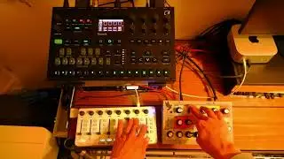 Chopped Think Break Beats (+ IDM Vibes) - Elektron Tonverk & Moog Sirin