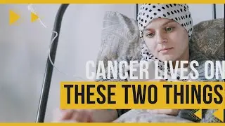 🔴CANCER Lives on SUGAR and............