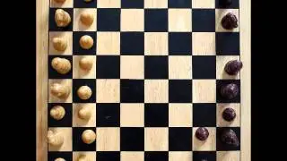 Calvin's Chess Board Set Up