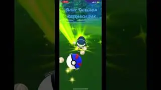 Shiny Shieldon Research Day 😮&zwj;💨✅
