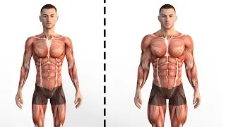 75 Hard Workouts That Will Challenge Every Part of Your Body | ankitbaiyapuria workout | at home