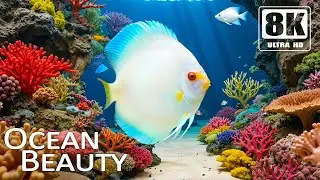 🌊 Ultimate 8K Aquarium &ndash; Majestic Sharks, Glowing Jellyfish & Dreamy Sleep Music for Relaxation