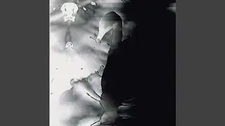 Broken Connection