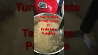 Вареные корни репы по вкусу напоминают картофель