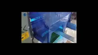 BG-1000-350DAN Small bread packaging machine bakery products packing equipment  #packagingmachine