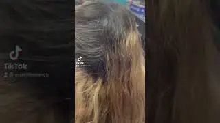 Un peque&ntilde;o ba&ntilde;o de color hace una gran diferencia 🦾