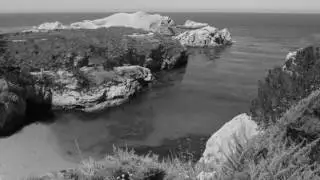 Kim Weston China Cove