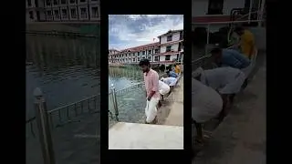 Guruvayur temple vlog‼️ #kerala #guruvayoor #annanagarfoodie #thatfoodieguy