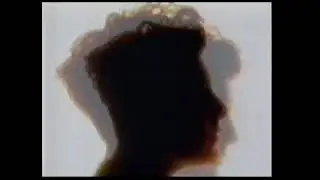 Cocteau Twins   08   cico buff