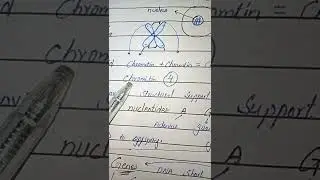 Class 8 Science kpk. Topic.Chromosome Genes and DNA in Poshto.#TheShiningStarTuitionAcademyCharsadda