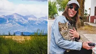 Visitando el Pueblo Gal&eacute;s de TREVELIN 🫖 T&eacute; Gal&eacute;s, Museos y Feria 🍰 Explorando la Patagonia Argentina