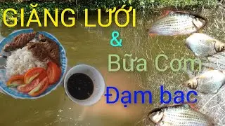 Giăng lưới v&agrave; c&aacute;ch l&agrave;m cho c&aacute; m&egrave; hết xương dăm #giangluoi #batca #cuocsong #dongque #phuongtgvlogs