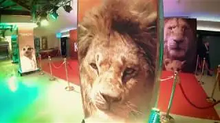 Король Лев