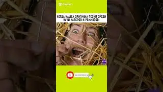 было такое?😆😅#юмор#смехпродлеваетжизнь #приколы #шуточное #мем #смешнойшортс #жиза #cat #catvideos
