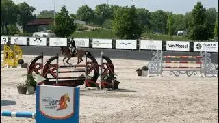 Quastor vd Heffinck - CSIYH 8yo Peelbergen