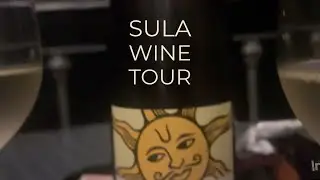 A very boring wine tour #themigrantwolf #sulavineyards