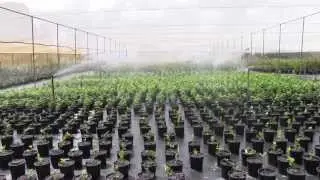 Best Management Practice Irrigation Layouts HD