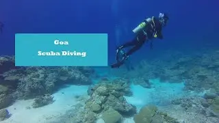 Scuba Diving in Goa #goa #goaadventure #travel #travelvlog #scubadiving #vlogs #vlogs