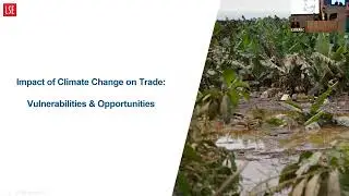 Latin American Trade in the Age of Climate Change: Impact, Opportunities, and policy options