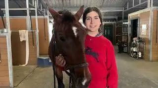 Wild Horse Advocacy Video Project