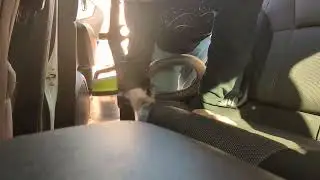 Subaru Impreza Interior vacuuming ASMR 
